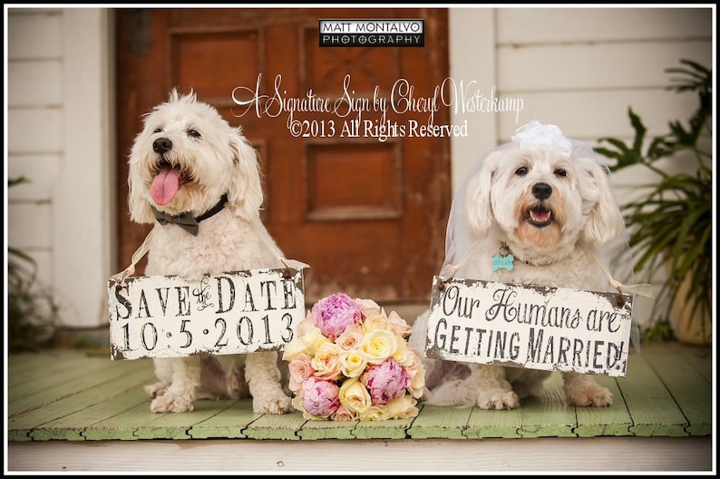 Our Humans are Getting Married Dog Signs Save The Date Signs for DOGS Photo Props Signs for Dogs Wedding Signs Engagement Signs image 2