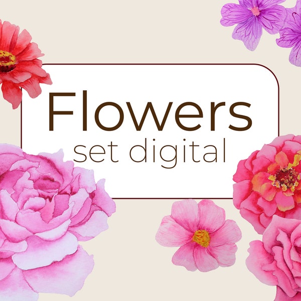 Flowers Digital Set PNG Aquarell Rosa Pionen Rosen