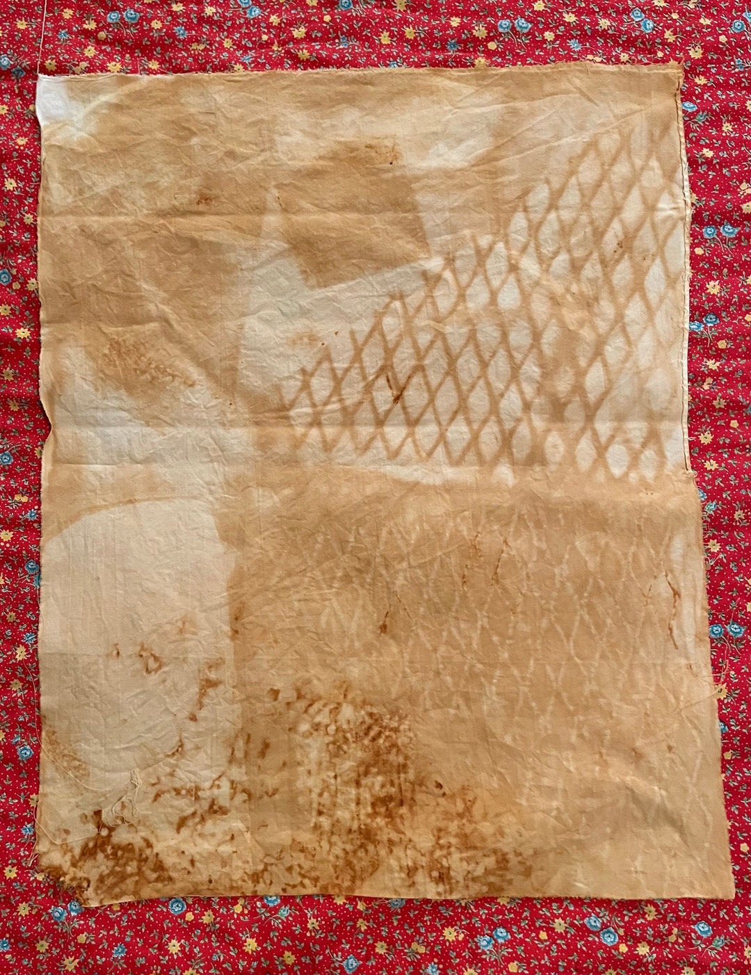 Rust Dyed Fabric With All Raw Edges Random Brown Rust Etsy