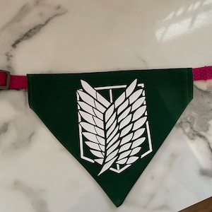 May include: A dark green pet bandana with a white graphic design and a pink collar. The bandana is triangular and features a white emblem. The collar has a plastic buckle and a metal D-ring.