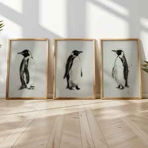 Conjunto de 3 grabados de dibujo al carbón de pingüino emperador, arte de pared de ilustración de aves marinas de tres piezas, cartel de decoración del hogar de bocetos de animales árticos tríptico