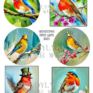 PRINTABLE, Instant Download, Digital Collage Sheet, Birds, Six Designs, Birds with Crowns, Beanie Hat, Steampunk Bird on Branch, Water Color image 1