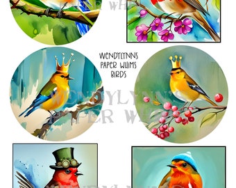 PRINTABLE, Instant Download, Digital Collage Sheet, Birds, Six Designs, Birds with Crowns, Beanie Hat, Steampunk Bird on Branch, Water Color