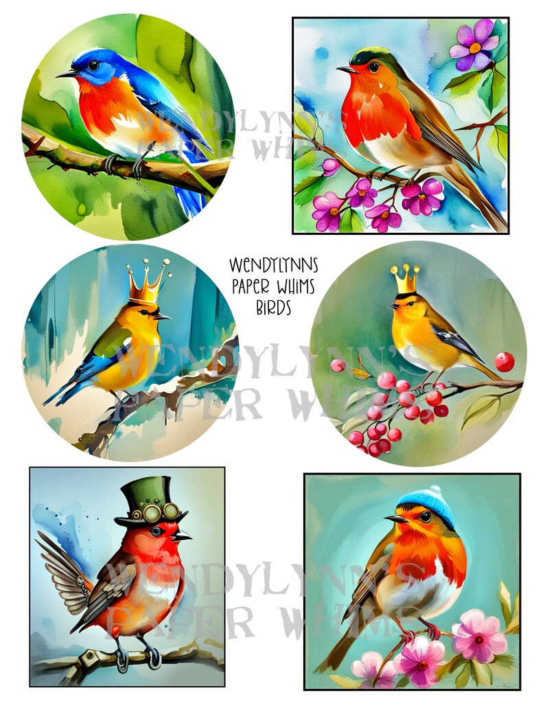 PRINTABLE, Instant Download, Digital Collage Sheet, Birds, Six Designs, Birds with Crowns, Beanie Hat, Steampunk Bird on Branch, Water Color image 1