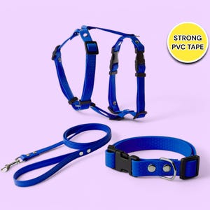 Set di accessori per cani: collare, pettorina e guinzaglio impermeabili