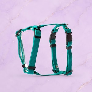 May include: A teal pet harness featuring adjustable straps, black plastic side-release buckles, and silver-toned metal rivets. The harness is constructed from a textured material and includes black plastic sliders for adjusting the fit of the straps.