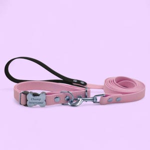 May include: A pink dog collar and leash set. The collar has a bone-shaped tag with the name "Champ" and a phone number. The leash has a black handle and a matching pink strap. The set is made of a soft material.