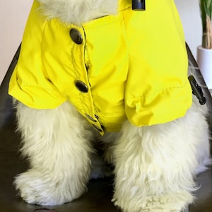 May include: A bright yellow pet raincoat featuring a front button closure with dark metallic buttons, short sleeves, and black adjustable toggles on the sides. The garment is worn over white fur, covering the torso and upper legs of the animal.