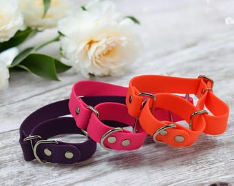 Collare per cani Martingale – materiale impermeabile, regolabile e resistente Biotane
