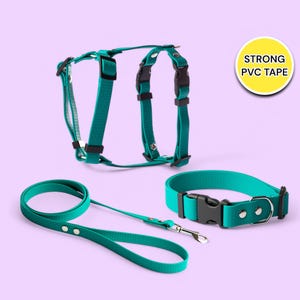 Trendy Pet Harness, Collar, and Leash Set, Dog Birthday Bundle with Harness, Collar, and Leash