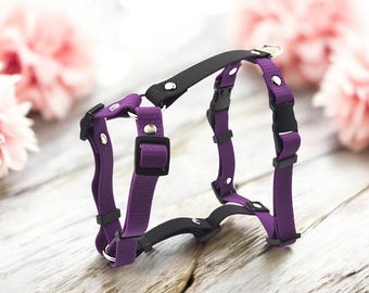 May include: Purple and black dog harness with silver buckles and metal rings. The harness is made of soft, padded material and has adjustable straps.