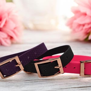 Stylish Waterproof Collar for Your Loyal Pup or Kitty, Durable PVC Pet Collar, Collar for active dogs for outdoor walks