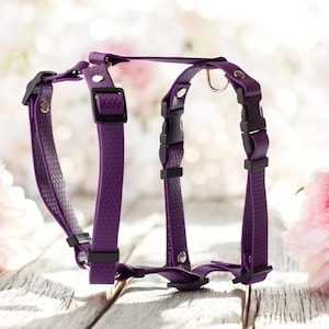 Dog Harness – Strong Durable Pet Harness with Quick Release Buckle for Training and Daily Walks