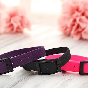 Stylish and practical waterproof dog collar, Adjustable dog collar, Collar for active dogs for outdoor walks