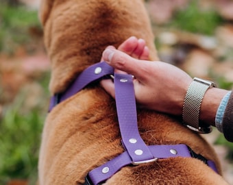 Arnés para perros de PVC impermeable, ajustable, con hebilla de liberación rápida.