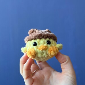 Canard avec chapeau Peluche au crochet Amigurumi Bear