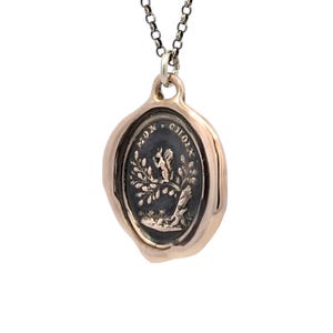 The Nut For Me - Bronze Eichhörnchen Wachssiegel Anhänger, Mon Choix Motto Schmuck, romantisch und spielerisch Charm, Geschenk im antiken Stil