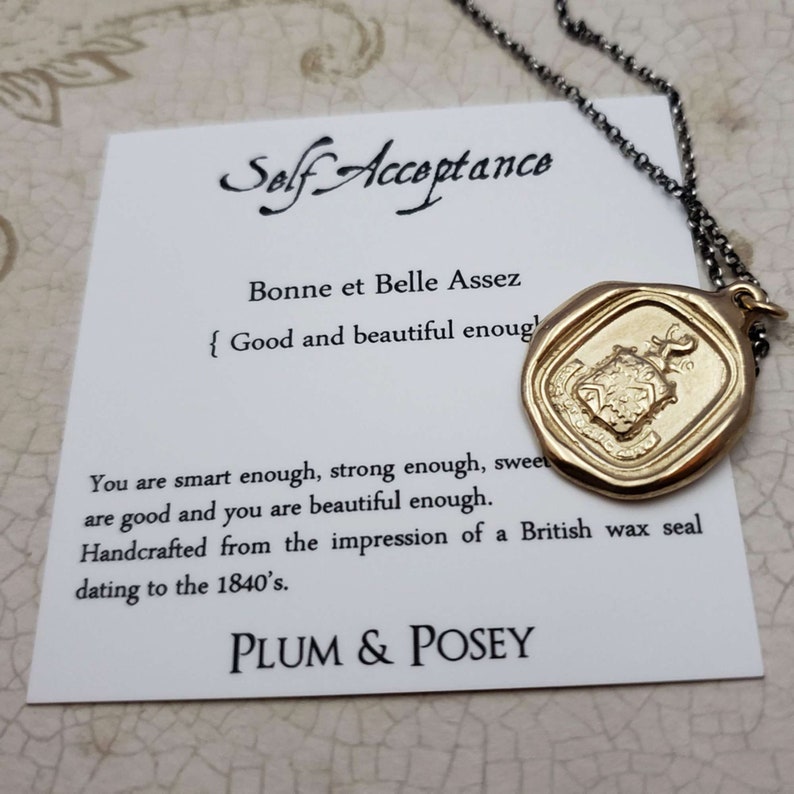 Good and beautiful enough 214G Lion Jewelry Gold Wax seal Jewelry with meaning Self Acceptance Lion Necklace with crest in French