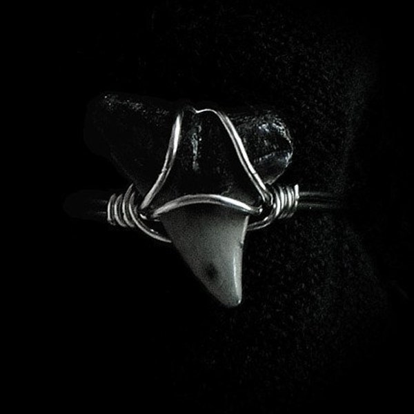 Fossil Shark Tooth Ring