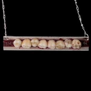 May include: A silver necklace with a bar pendant featuring a row of white teeth set in a red resin. The bar has markings that read "11 MM" and "65".
