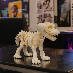 May include: A white plastic skeleton of a dog, standing on a black surface. The skeleton is detailed and has a realistic appearance.
