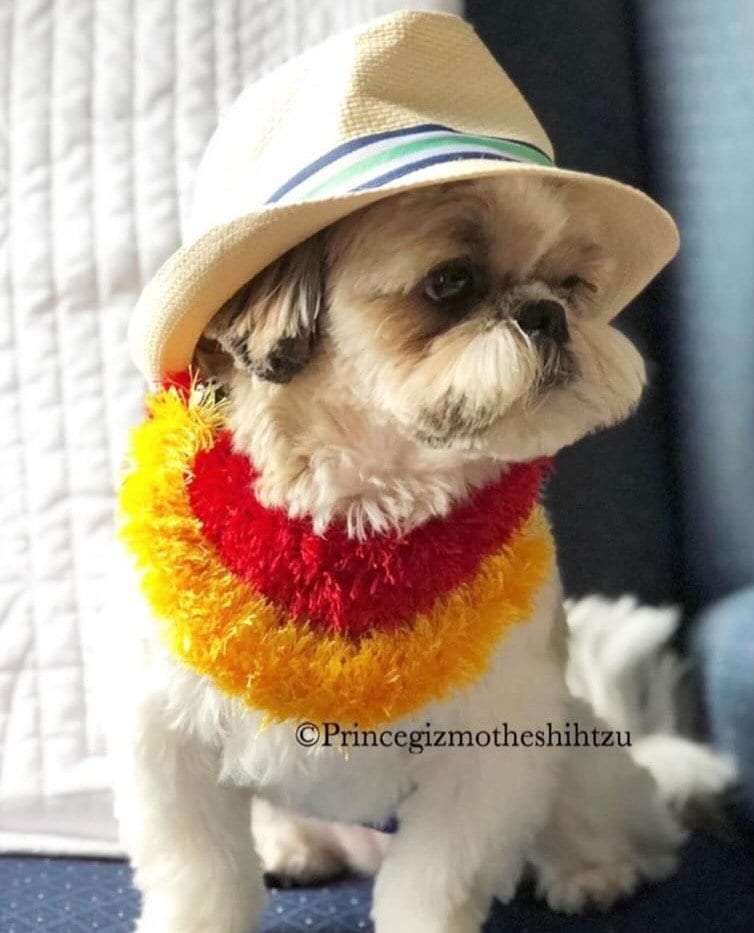 Hawaiian Leis for Pets