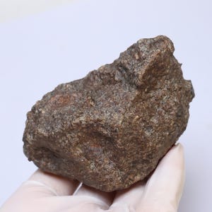 334g NWA Chondrit Meteorit Specimen: Nordwestliches Afrika Fund KC1808