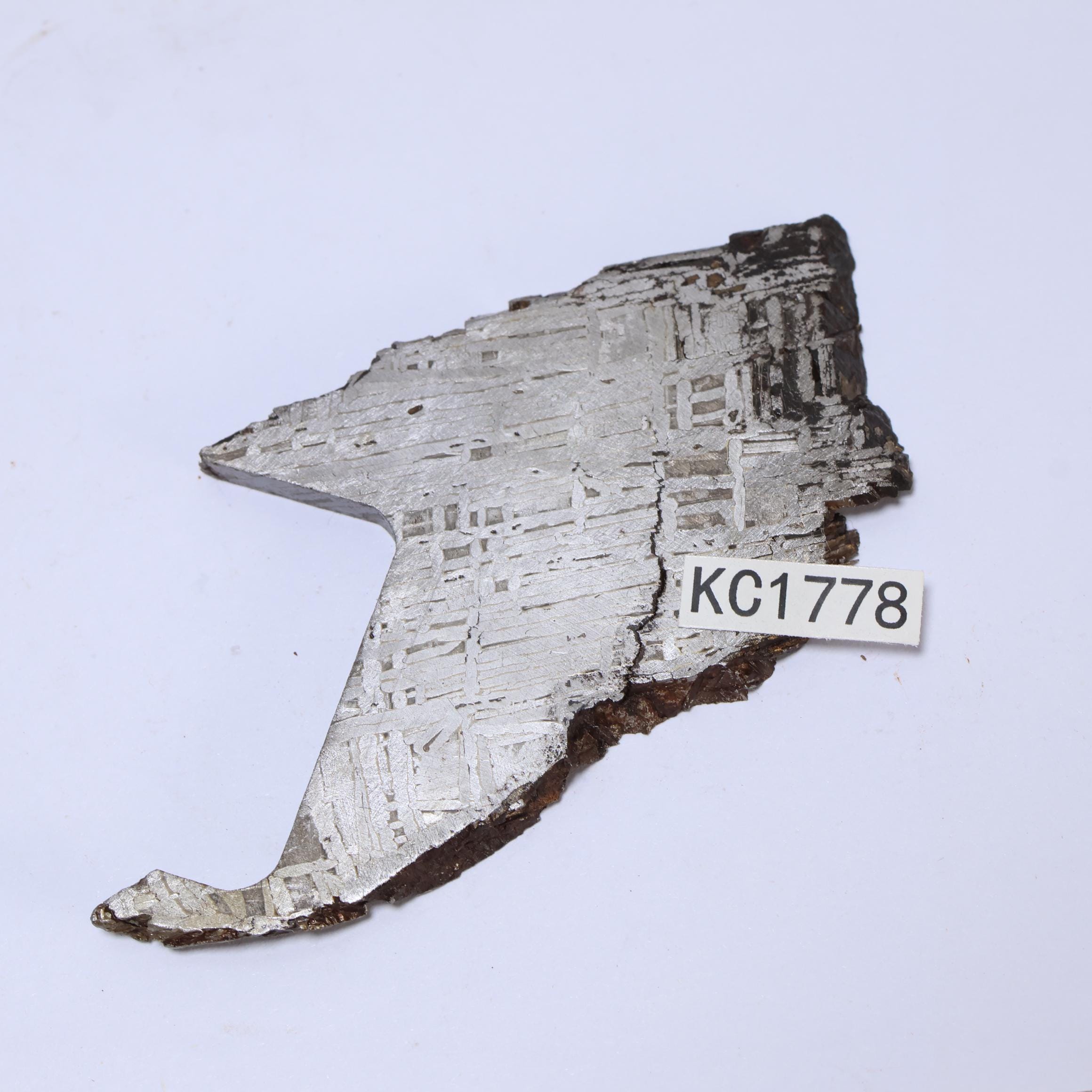 66g ムオニオナルスタ鉄隕石標本: 天然ウェステンデン パターン KC1778