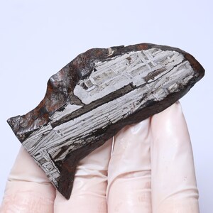 53g Muonionalusta Iron Meteorite Specimen M Iron Meteorite Natural Meteorite Material Specimen KC1823