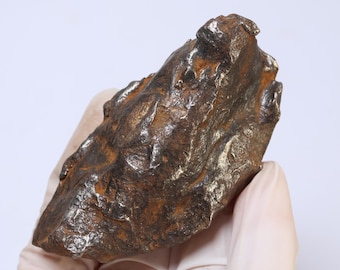 1353 G カミル鉄隕石、プロトリス ゲベル カミル、天然隕石素材