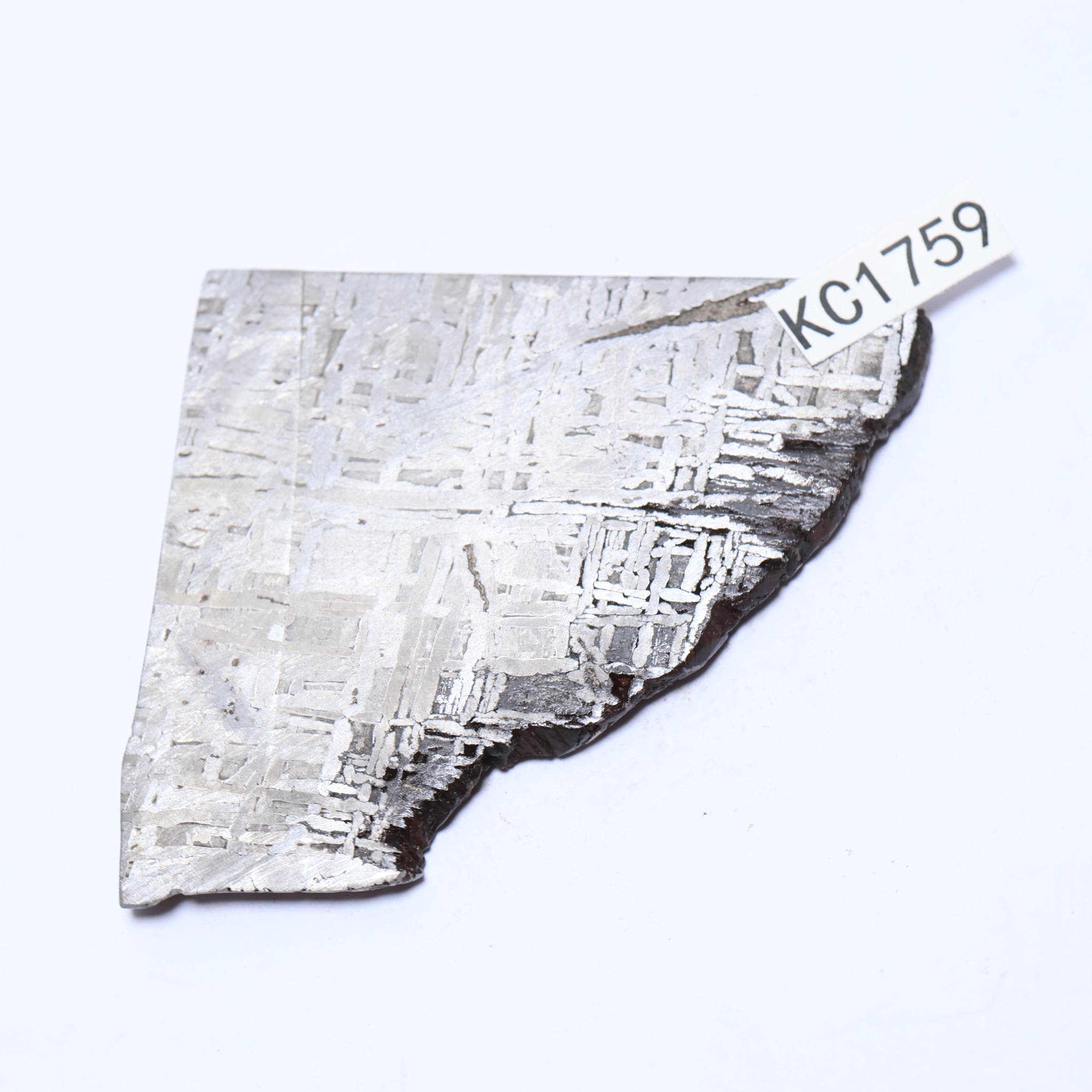 61g ムオニオナルスタ鉄隕石標本: 天然ウェステンデン パターン