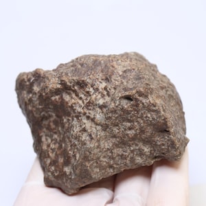 312g NWA Chondrit Meteorit Specimen: Nordwestliches Afrika Fund KC1807