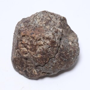 328g NWA Chondrit Meteorit Specimen: Nordwest Afrika Sammlung KC1661