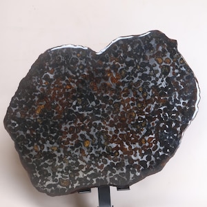 322G Sericho Pallasiet Meteorietschijf, Collectie, Artware, Space KC1402