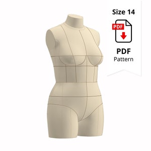 May include: A beige dress form, size 14, with marked seam lines. The form is a torso shape, with a neck, shoulders, bust, waist, and hips. A PDF pattern icon is in the upper right corner.