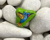 Hummingbird Art Rock Animals - Hand Painted Rock - Birds Gift - Hummingbird Gift - Bird Painted Rock - Bird Art on Rocks - Painted Bird Rock
