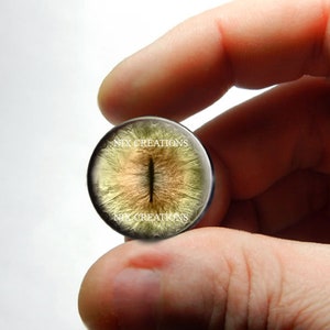 Yeux en verre - Cabochons en yeux de taxidermie réalistes yeux de chat beiges 8 mm 10 mm 12 mm 13 mm 14 mm 16 mm 18 mm 20 mm 25 mm 30 mm