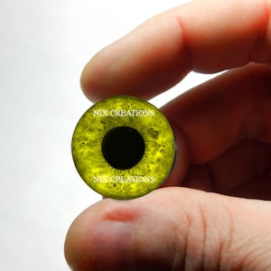 Yeux d'aigle en verre - Sculpture d'oeil d'aigle en verre jaune taxidermie Globes oculaires faits à la main 8 mm 10 mm 12 mm 13 mm 14 mm 16 mm 18 mm 20 mm 25 mm 30 mm