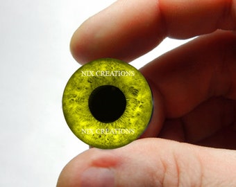 Eagle Glass Eyes - Eagle Bird Yellow Glass Eye Sculpture Taxidermy Eyeballs Handmade 8mm 10mm 12mm 13mm 14mm 16mm 18mm 20mm 25mm 30mm