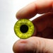 see more listings in the Glass Eye Cabochons section