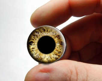 Blythe Eye Chips 14mm Eyes - Tan Human Doll Taxidermy Glass Eyes Cabochons for Blythe Pullip Dolls - Pair or Single