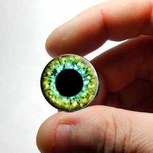 May include: A green and blue glass eye with a black pupil and a white ring around the pupil. The eye is surrounded by a yellow ring with white dots. The eye is held in a hand.