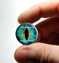Glass Eyes - Lizard Reptile Dragon Taxidermy Eye Cabochons 8mm 10mm 12mm 13mm 14mm 16mm 18mm 20mm 25mm 30mm