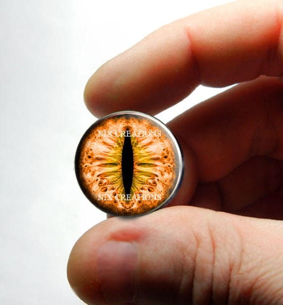 Yei Tao 大眼 Agave horrida 黎明 Hazel eyes Premium Eyes - Brown-Hazel