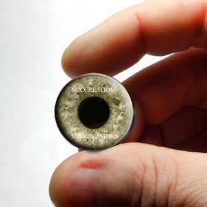 Yeux en verre d'aigle - Sculpture d'oeil d'oiseau en verre taxidermie Globes oculaires faits à la main 8 mm 10 mm 12 mm 13 mm 14 mm 16 mm 18 mm 20 mm 25 mm 30 mm