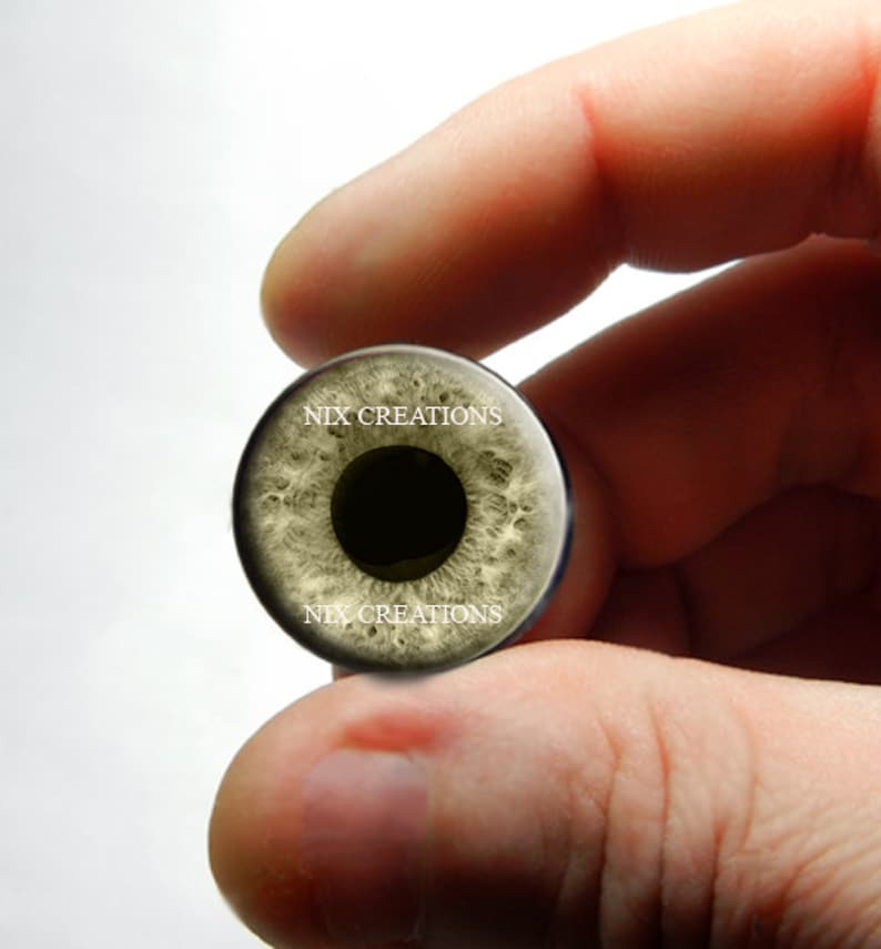 May include: A close-up of a realistic looking glass eye with a dark brown iris and a light brown sclera. The eye is held in a hand and the text "NIX CREATIONS" is printed on the eye.