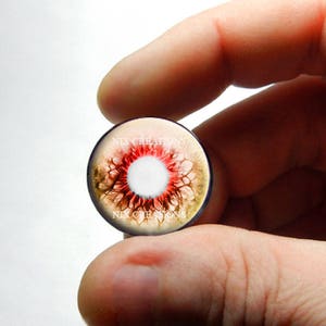 Glass eyes, zombie glass eyes, dead zombie eyes, doll eyes, human eyes, horror glass eyes, crafting eyes, taxidermy eyes image 1