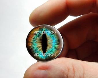 Glass Eyes - Lizard Reptile Dragon Taxidermy Eye Cabochons 8mm 10mm 12mm 13mm 14mm 16mm 18mm 20mm 25mm 30mm