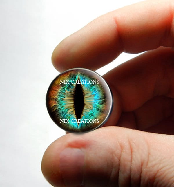 Glass Eyes - Lizard Reptile Dragon Taxidermy Eye Cabochons 8mm 10mm 12mm 13mm 14mm 16mm 18mm 20mm 25mm 30mm