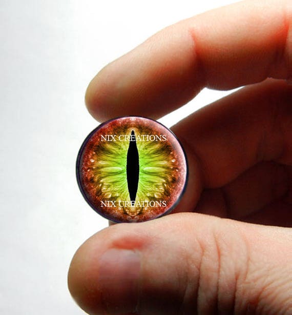 Yei Tao 大眼 Agave horrida 黎明 Hazel eyes Glass Eyes - Desert Lime Dragon Glass Eyeball Taxidermy Doll Eye